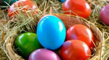 موعد إجازة شم النسيم 2026 في مصر وتفاصيل عطلة عيد الأضحى طبقًا للحسابات الفلكية